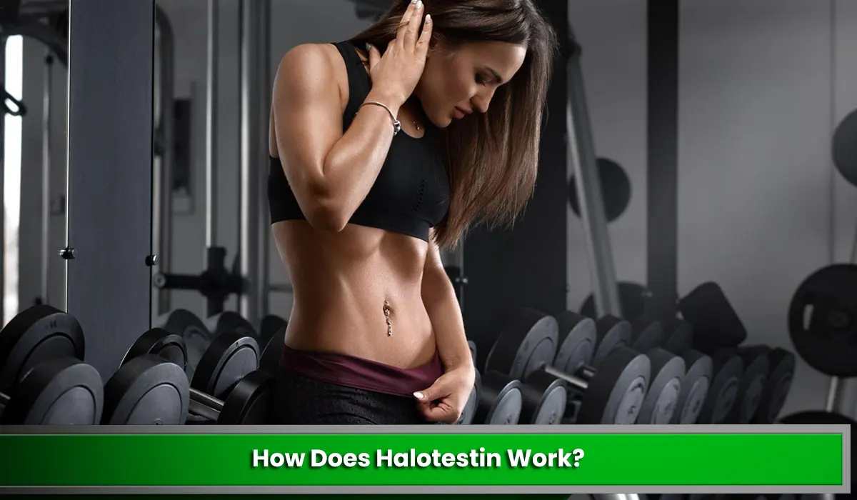 How Does Halotestin Work?