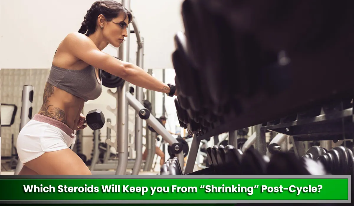 Which Steroids Will Keep you From “Shrinking” Post-Cycle?