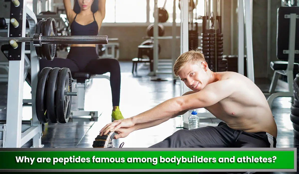 Why are peptides famous among bodybuilders and athletes?